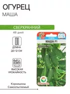 Семена Огурец «Маша» — для огород — фото 8