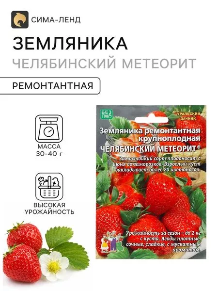 Семена Земляника «Челябинский метеорит» — для огород