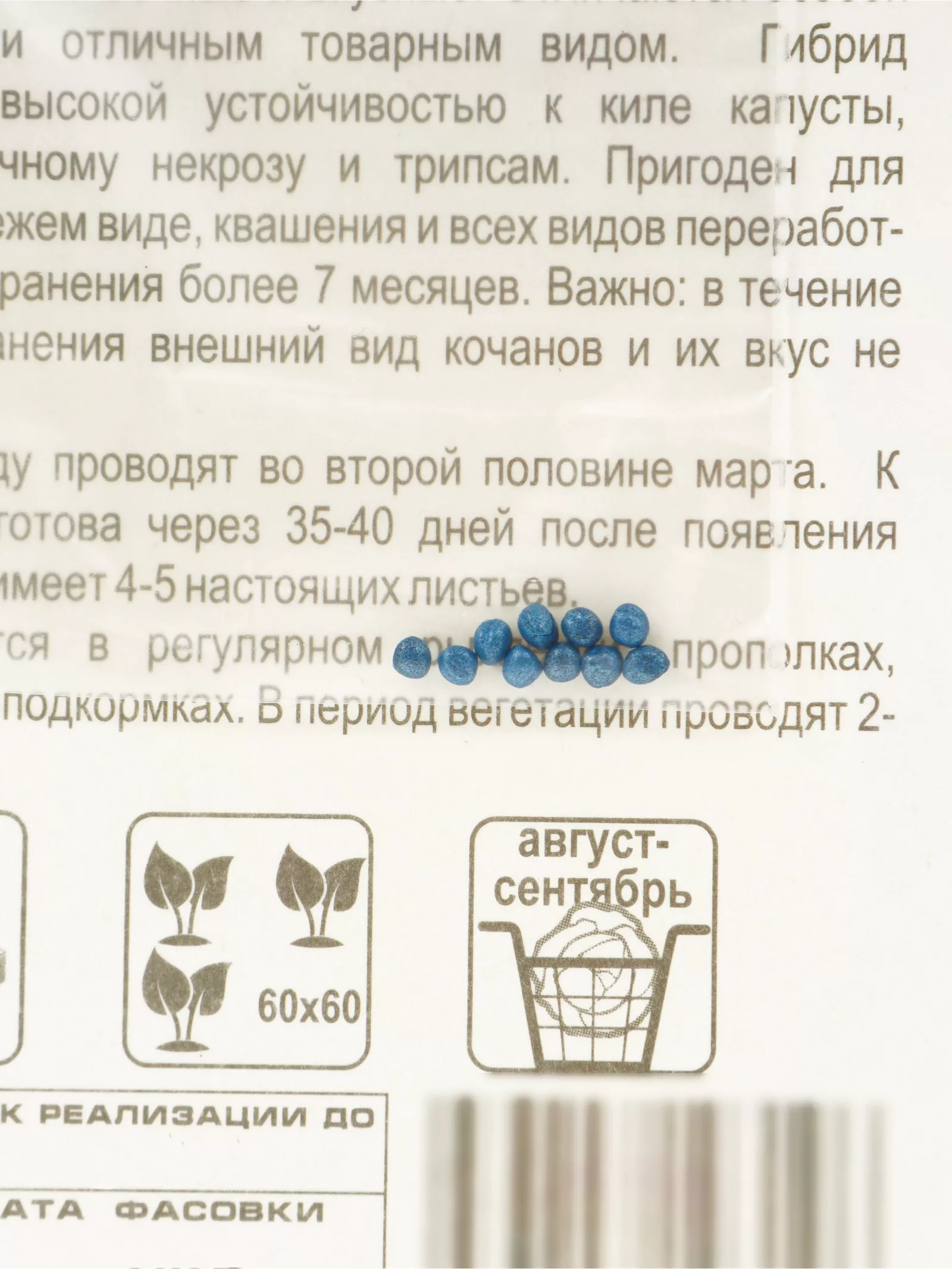 Семена Капусты белокочанной «Килатон» — для огород — фото 6