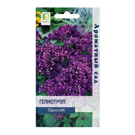 Семена цветов Гелиотроп Одиссей — для огород