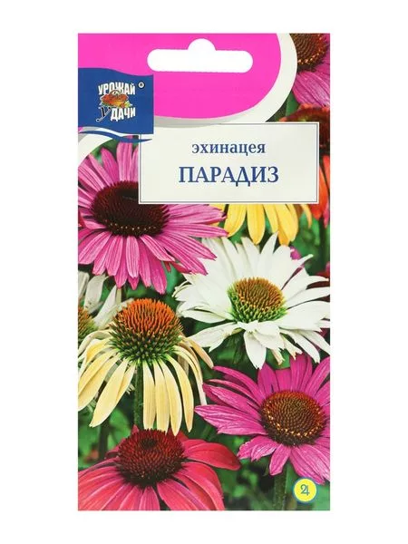Семена цветов Эхинацея "Парадиз" — для огород