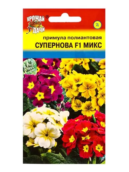 Семена цветов Примула — для огород