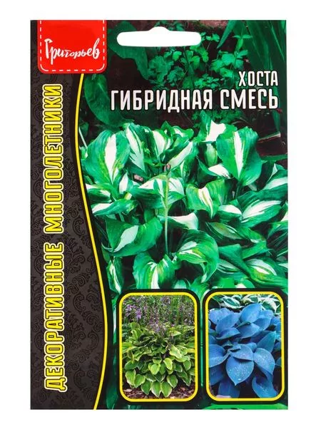 Семена цветов Хоста гибридная «Смесь» — для огород
