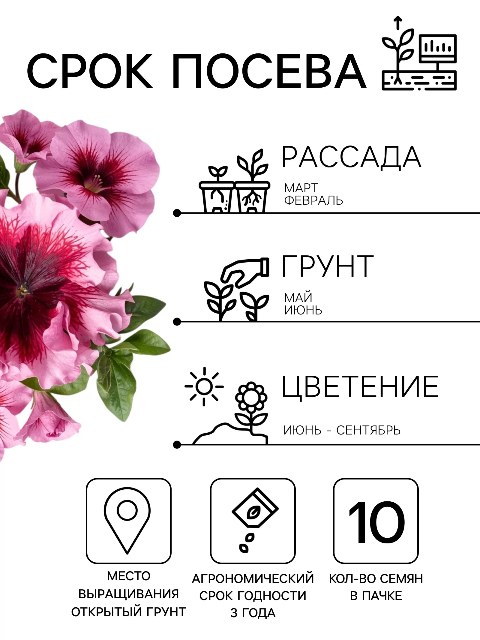 Семена цветов Петуния превосходнейшая «Розовая» 10 шт. — для огород — фото 2