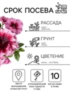 Семена цветов Петуния превосходнейшая «Розовая» 10 шт. — для огород — фото 9