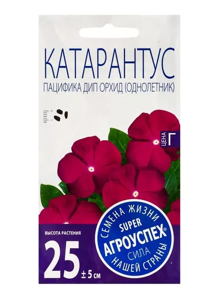 Семена цветов Катарантус «Пацифика Дип Орхид» — для огород