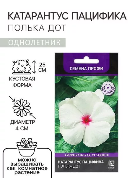 Семена цветов Катарантус Пацифика «Полька Дот» 10 шт. — для огород