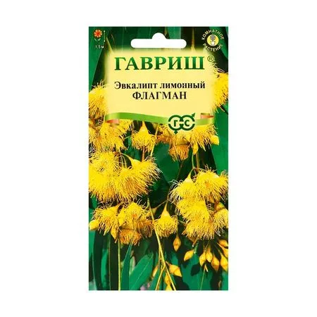 Семена комнатных цветов Эвкалипт «Флагман» — для огород