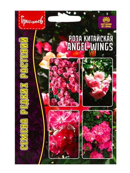 Семена цветов Роза китайская Angel Wings — для огород