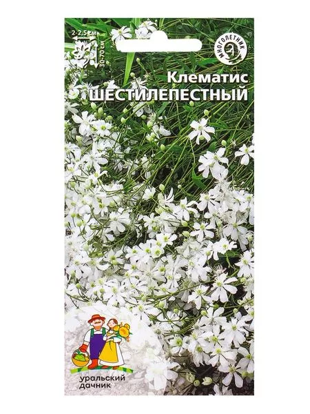 Семена Цветы Клематис «Шестилепестный» — для огород