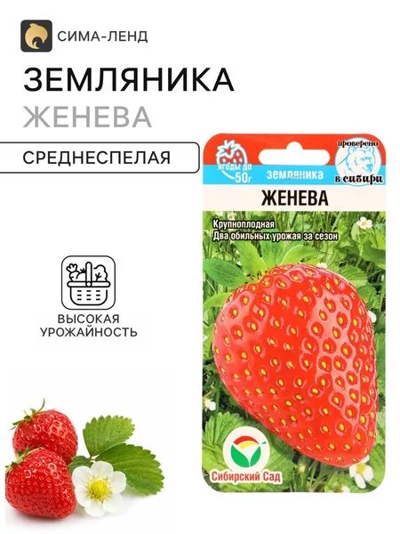 Семена Земляника «Женева» — для огород
