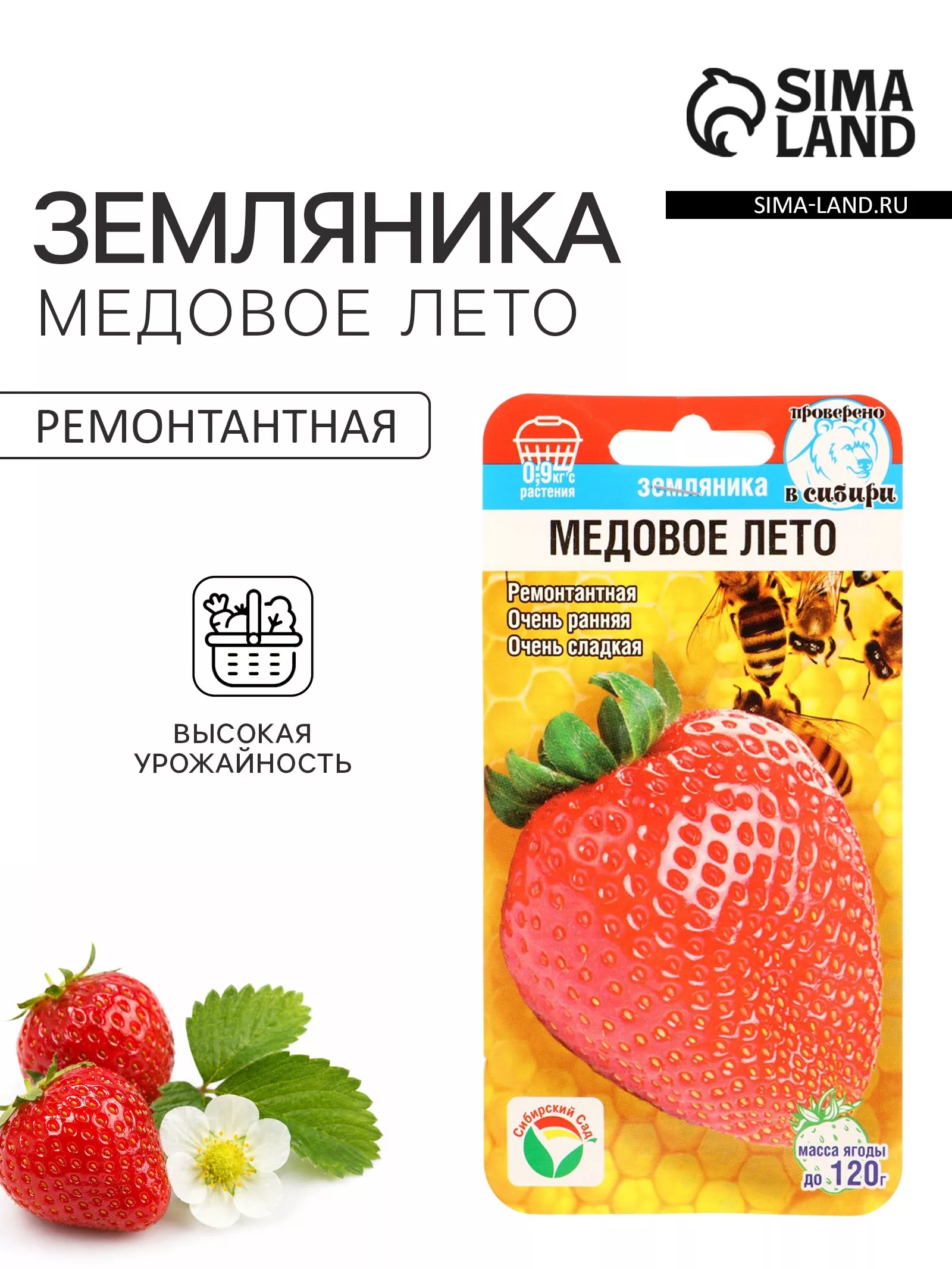 Семена Земляника ремонтантная «Медовое лето» — для огород