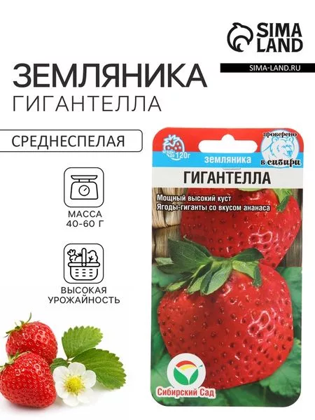 Семена Земляника «Гигантелла» — для огород