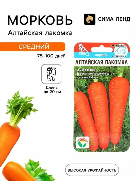 Семена Морковь «Алтайская лакомка» — для огород