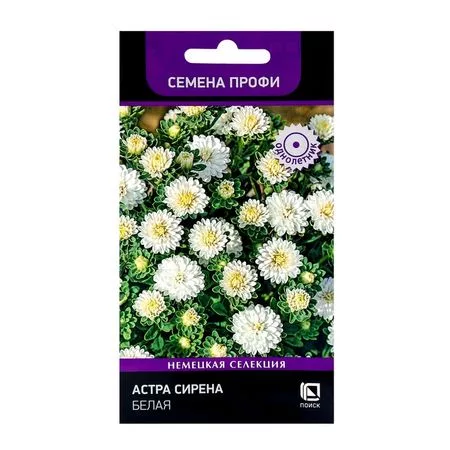 Семена цветов Астра Сирена Белая — для огород