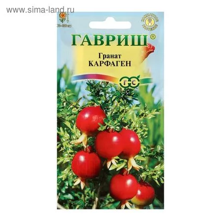 Семена комнатных цветов Гранат «Карфаген» — для огород