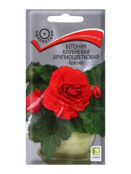 Семена цветов Бегония клубневая крупноцветковая — для огород