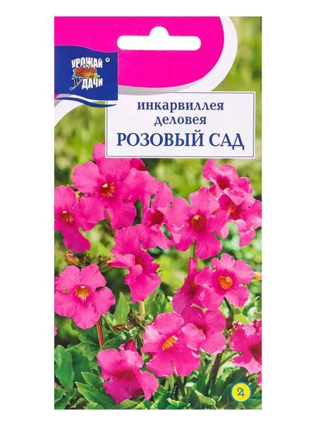 Семена цветов Инкарвиллея деловея «Розовый сад» — для огород