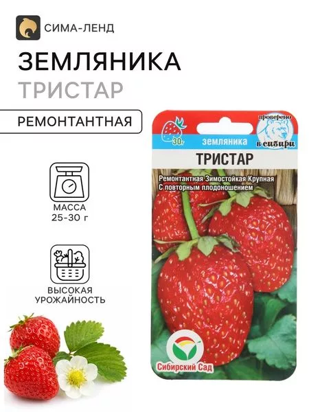 Семена Земляника ремонтантная «Тристар» — для огород