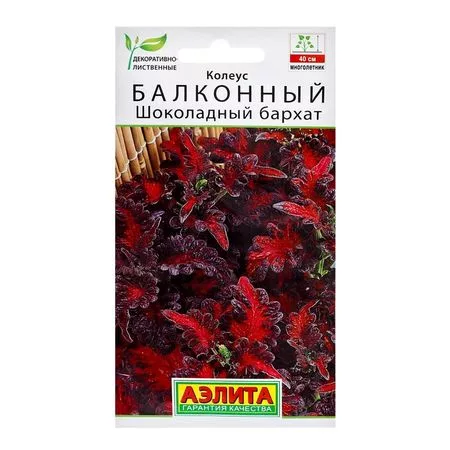 Семена цветов Колеус балконный "Шоколадный бархат" — для огород