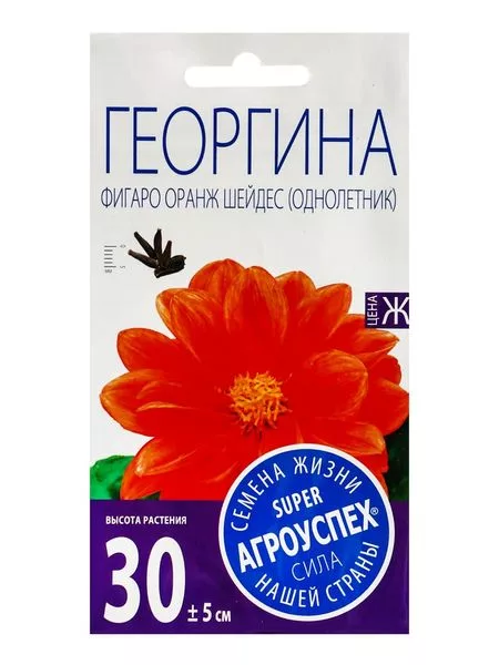 Семена цветов Георгина «Фигаро Оранж Шейдес» — для огород