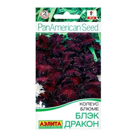 Семена цветов Колеус блюме "Блэк дракон" — для огород