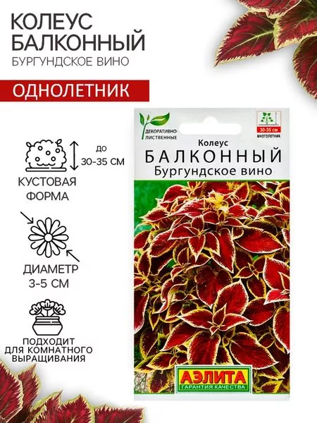 Семена цветов Колеус балконный "Бургундское вино" — для огород