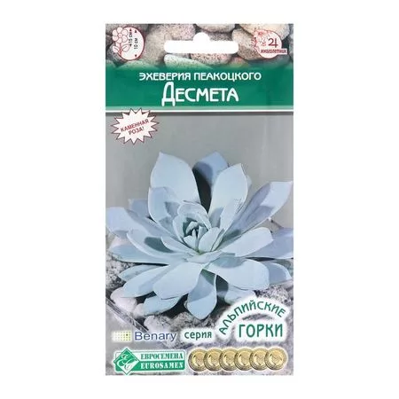 Семена эхеверия пеакоцкого «Десмета» — для огород