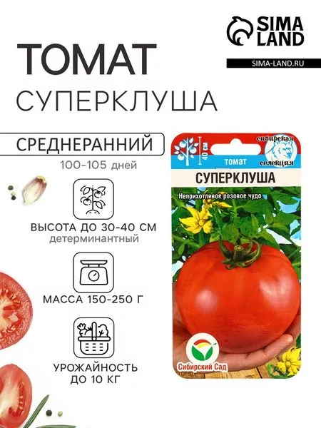 Семена Томат «Суперклуша» — для огород