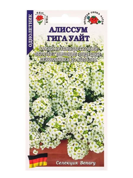 Семена Алиссум «Гига Уайт» — для огород