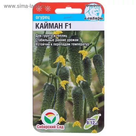 Семена Огурец «Кайман» — для огород
