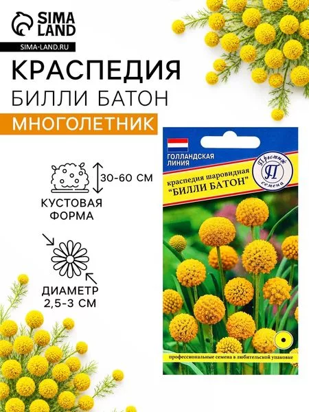 Семена цветов Краспедия шаровидная «Билли Батон» — для огород