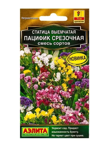 Семена цветов Статица «Пацифик срезочная» — для огород