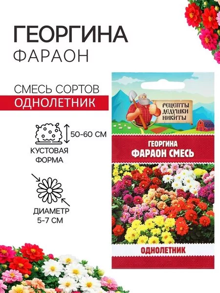 Семена цветов Георгина «Фараон» — для огород