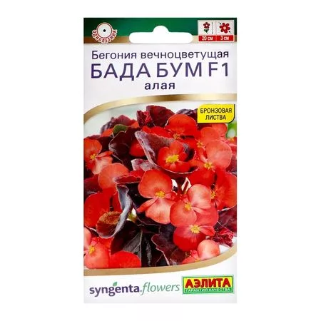 Семена цветов Бегония "Бада бум" F1 — для огород