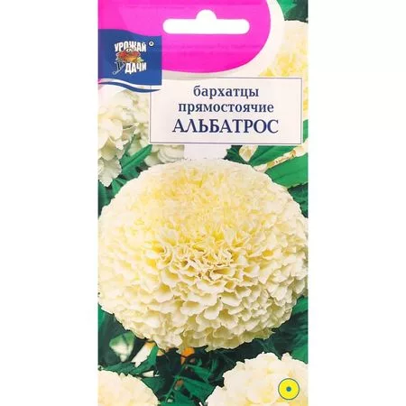 Семена цветов Бархатцы прямостоячие «Альбатрос» — для огород