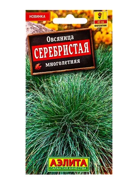 Семена цветов Овсяница «Серебристая» многолетняя — для огород