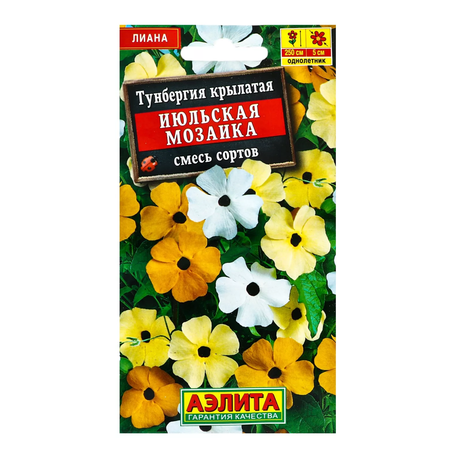 Семена цветов Тунбергия "Июльская мозаика" смесь сортов — для огород
