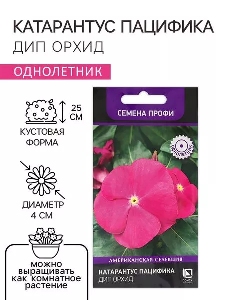 Семена цветов Катарантус Пацифика "Дип Орхид" 10 шт — для огород