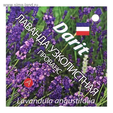 Семена цветов Лаванда узколистная "Прованс" — для огород
