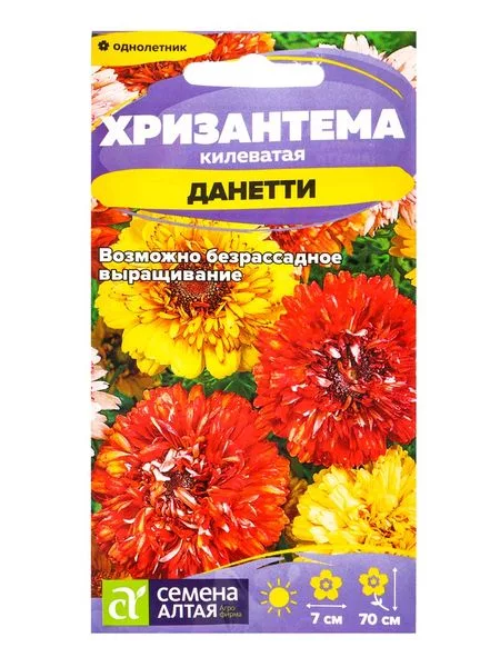 Семена Хризантема «Данетти» — для огород