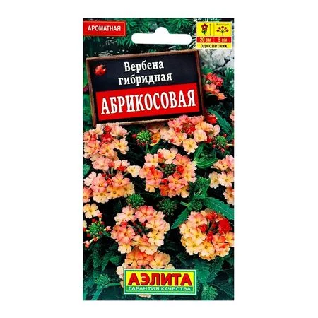 Семена цветов Вербена "Абрикосовая" — для огород