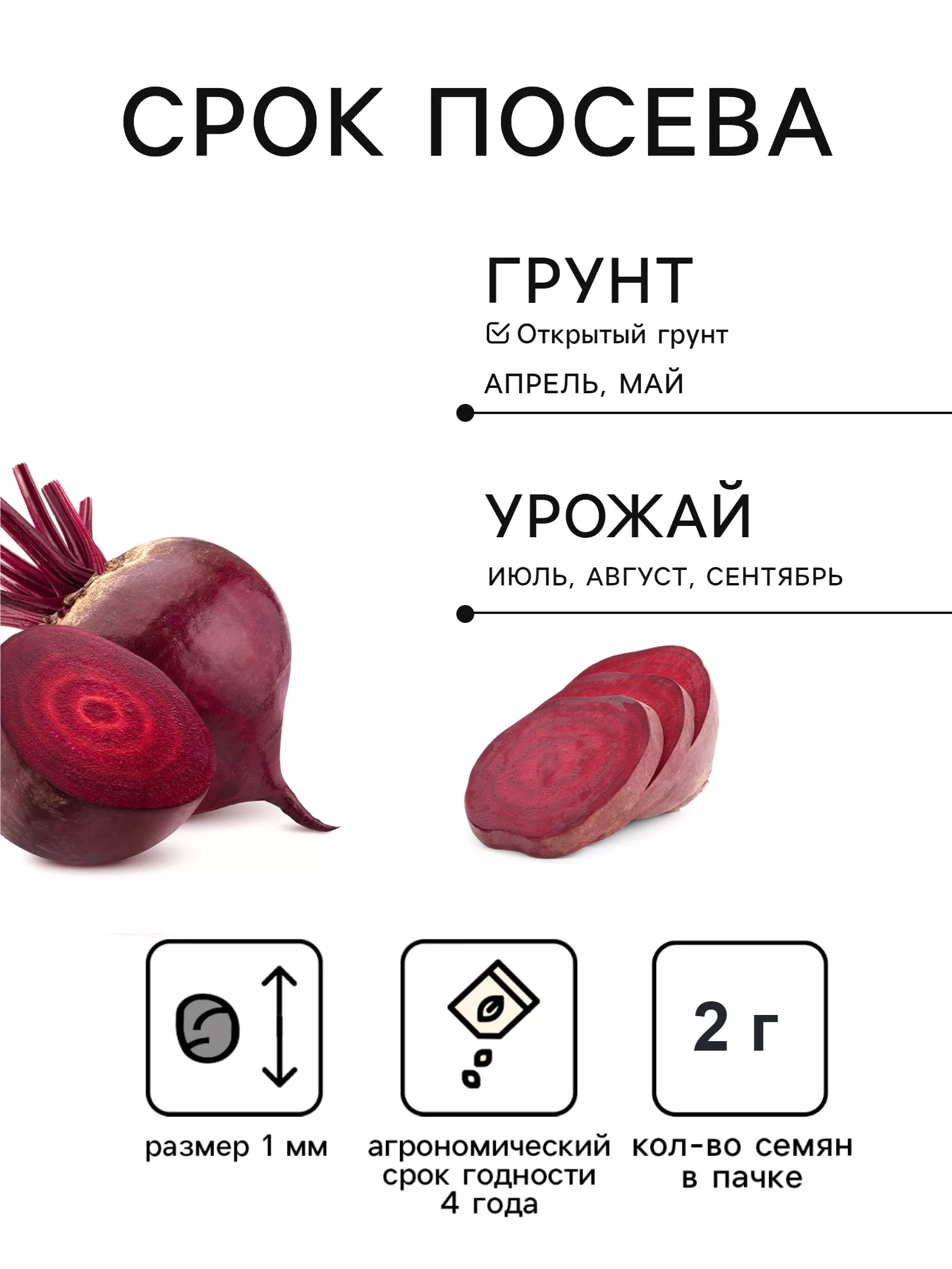 Семена Свекла «Мулатка» — для огород — фото 2