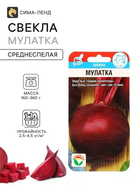 Семена Свекла «Мулатка» — для огород — фото 3