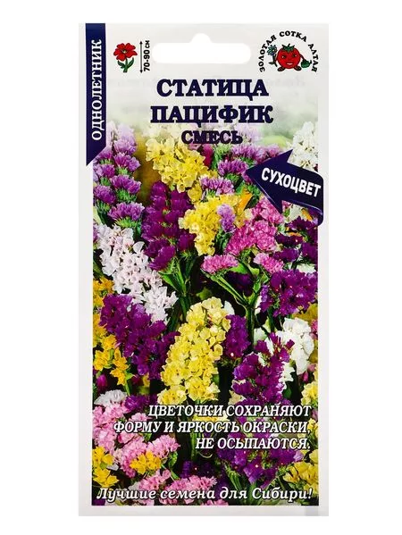 Семена Статица «Пацифик» — для огород