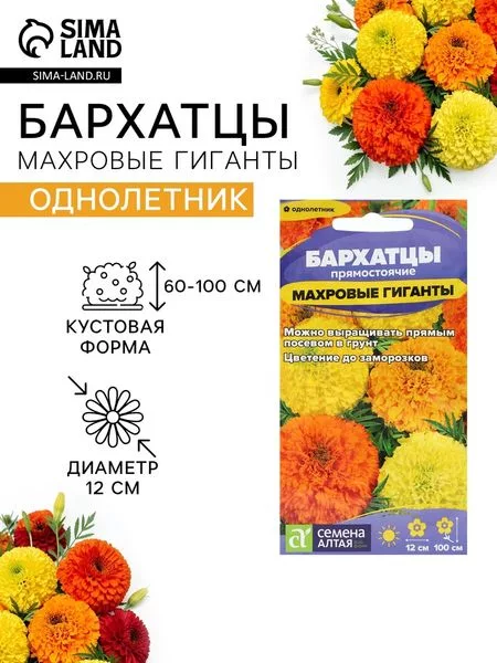 Семена цветов Бархатцы «Махровые Гиганты» — для огород