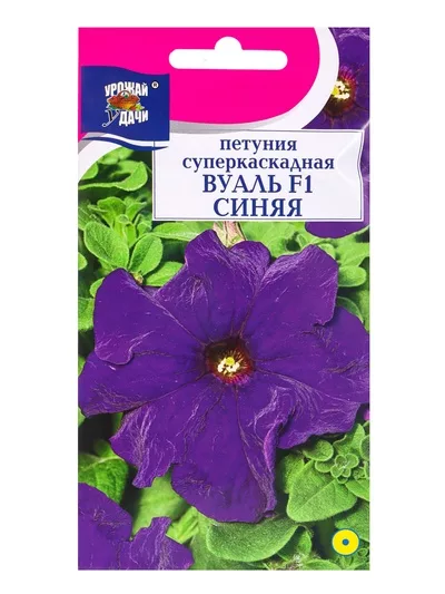 Семена цветов Петуния суперкаскадная «Вуаль Синяя» — для огород — фото 6