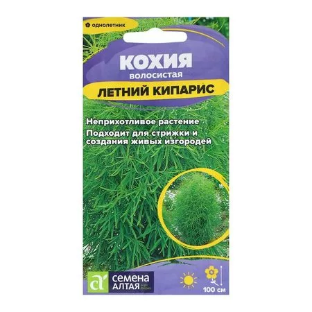 Семена цветов Кохия «Летний Кипарис» — для огород