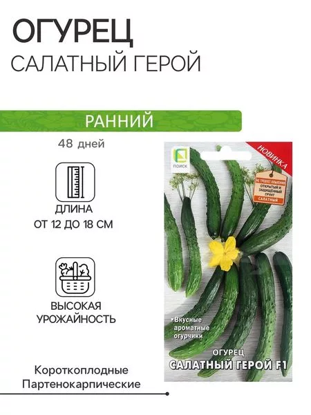 Семена Огурец «Салатный герой» — для огород