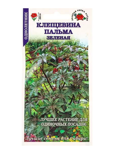 Семена Клещевина занзибарская «Пальма зеленая» — для огород